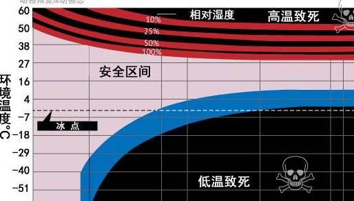 冷藏集装箱最新走势