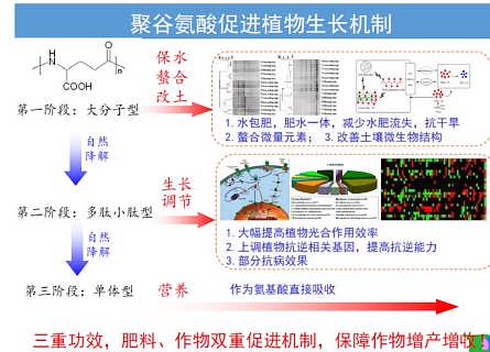 土壤改良剂最新信息