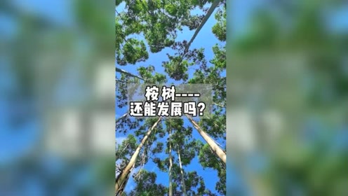 核桃树最新发布与未来探寻