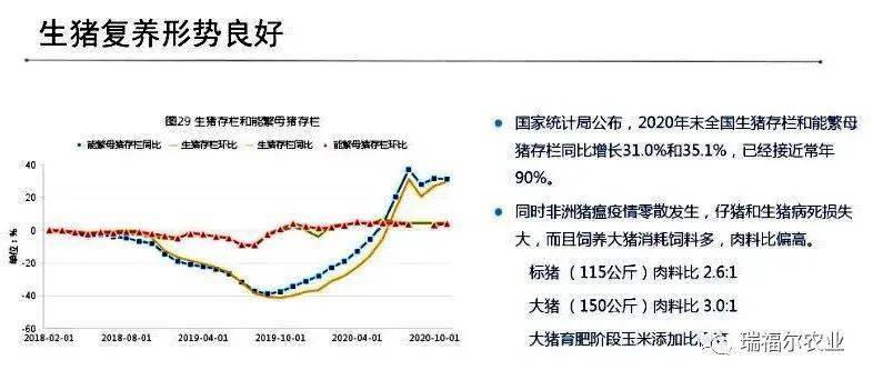 传动轴全面解读市场趋势