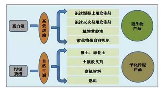 蛋白质饲料交集与合作