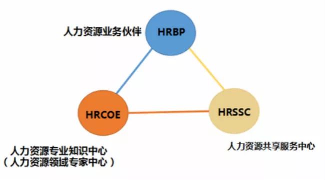 人力资源管理软件最新概览与全面解读