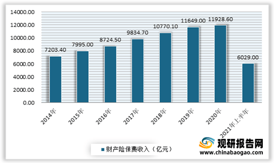 货运保险最新动态与深度解读