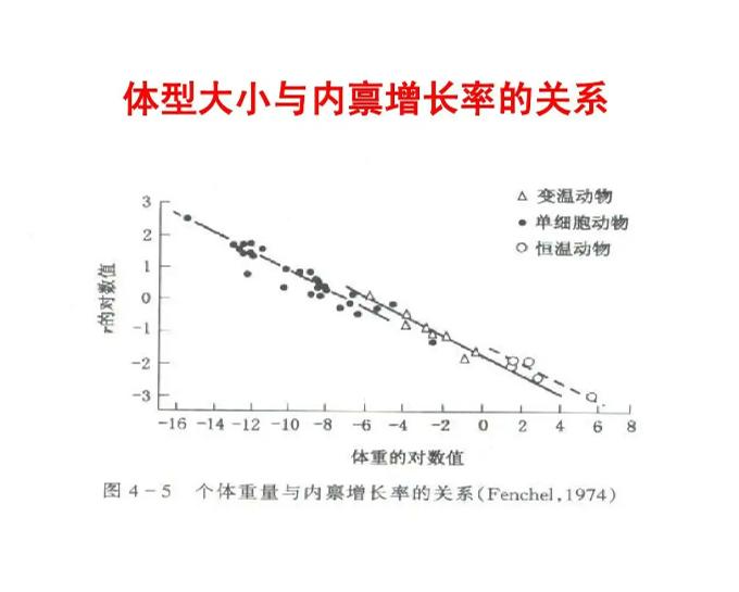 传动带应对策略