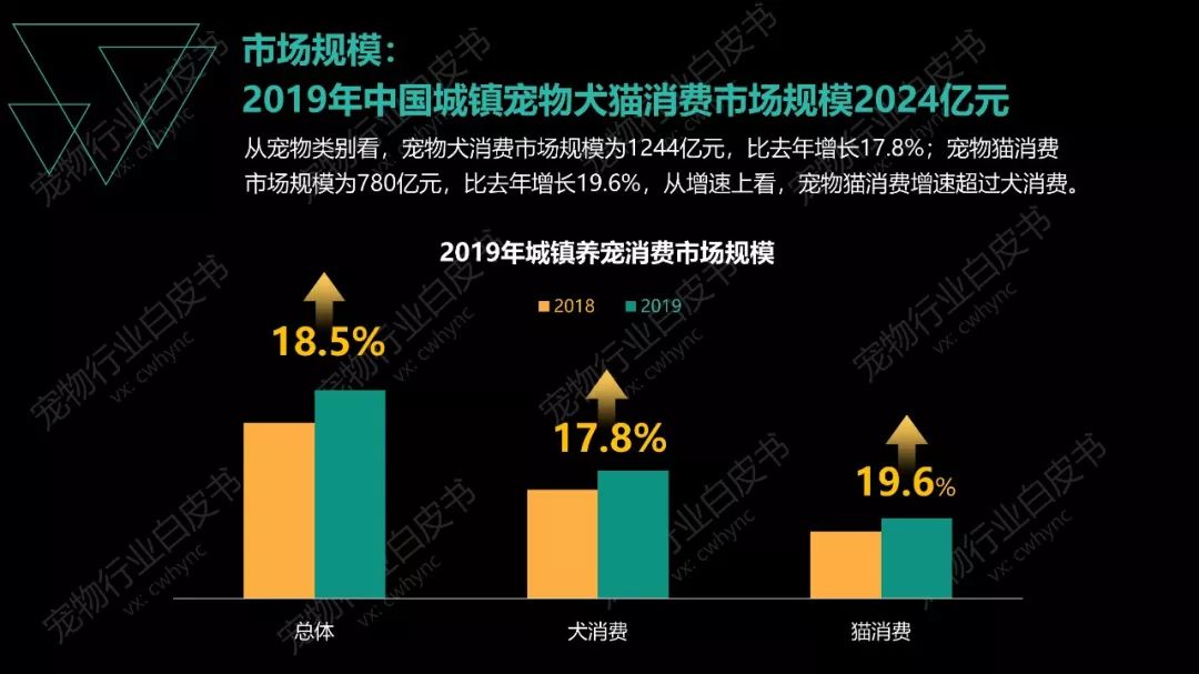 宠物养殖最新内容