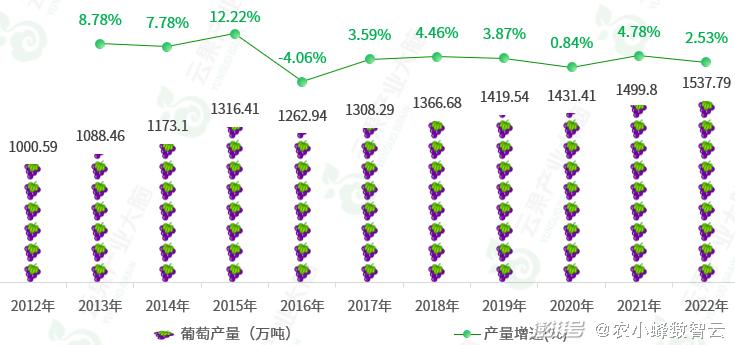 葡萄最新动态与深度分析