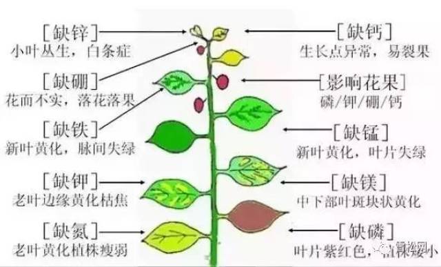 重氮化合物有毒吗