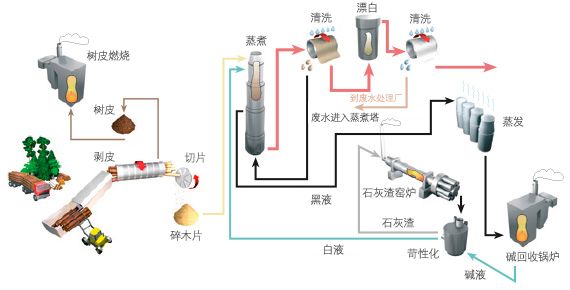 pvc一次性手套设备