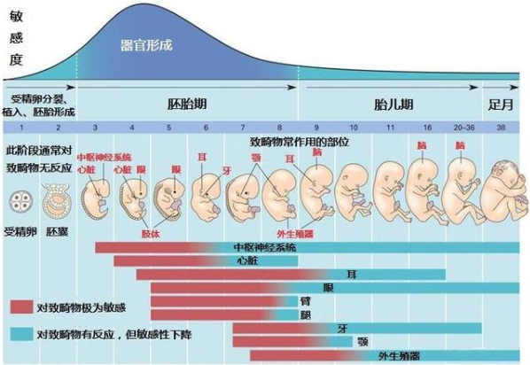 孕妇焊接辐射危害多大