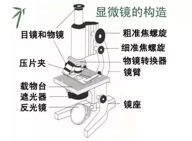 显微镜上光源和下光源区别