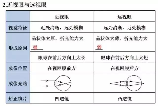 做钟表的材料是什么