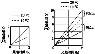 起重机与氮化锰分解温度比较